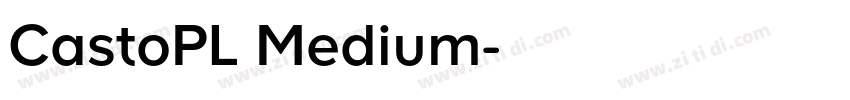 CastoPL Medium字体转换